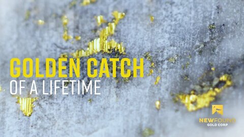 New Found Gold Corp. Presents: “Catch Of A Lifetime” (TSX-V: NFG; NYSE:A: NFGC)
