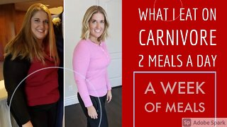 What I Eat on Carnivore Diet: 2 Meals a Day (One Full Week Of Meals and Weight Loss Update)