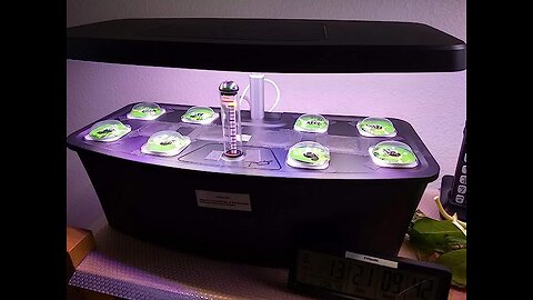 Hydroponic Growing System, Indoor Herb Garden, Smart Garden with LED Grow Light, 6L Water Tank...