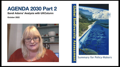 Sandi Adams Agenda 2030 Part 2