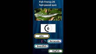 Fish Frenzy 26 A fast-paced quiz