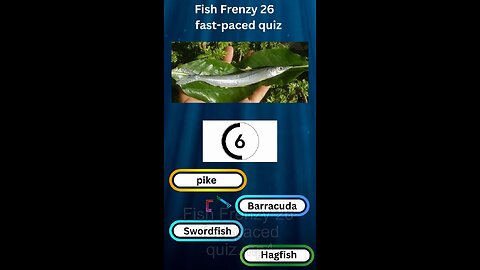 Fish Frenzy 26 A fast-paced quiz