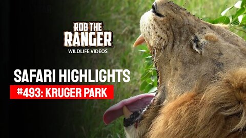 Safari Highlights #493: 13 - 15 April 2018 | Kruger National Park | Latest Wildlife Sightings