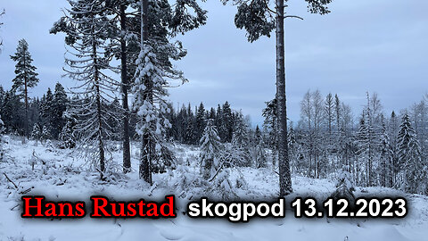 Skogpod 13. desember 2023