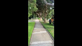 Street walk AUSTRALIA