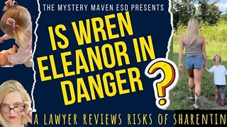 Is Wren Eleanor in Danger? Tik Tok Child Influencer Risks