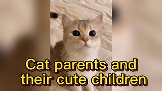 Cat parents and their cute children