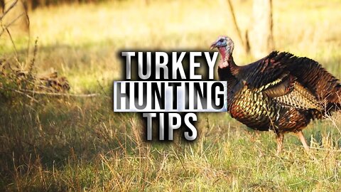 Crossbow Turkey Hunting Considerations
