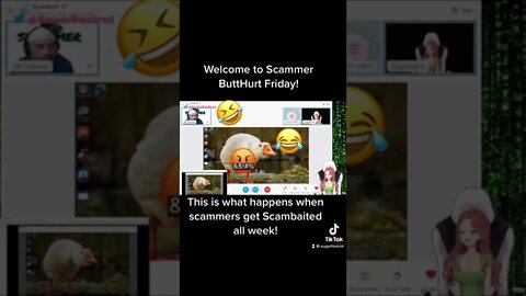 ButTHurt Scammer Friday- MCscammer&SugarFoxtrot #shorts #fyp #scambaiter #scambaiting