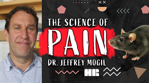 Dr. Jeffrey Mogil | The Science Of Pain | Neuroscience #161 HR