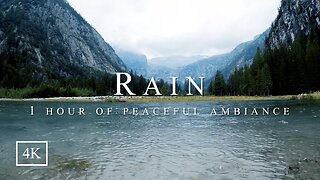 Rain | Peaceful Ambient ASMR Nature Sounds | HD
