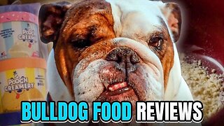 Bulldog Food Reviews