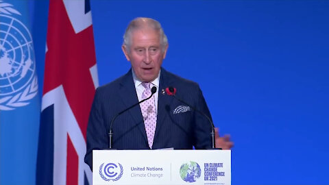 Prince Charles' Cryptic Speech At COP26
