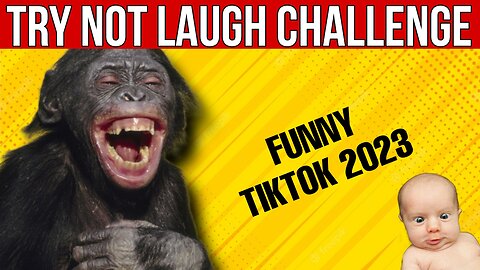 Try not laugh challenge tiktok 2023 / funny videos 😂