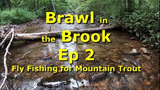 Small Creek Small Trout equals Fun Times! EP 2 Another Brawl in the Brook