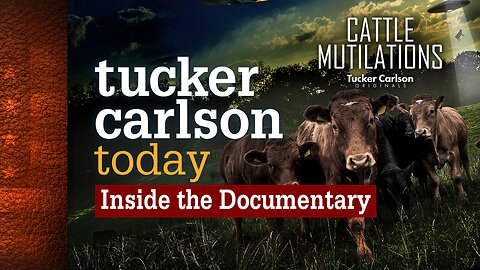 Tucker Carlson Today | Cattle Mutilations: Author Chris O'Brien