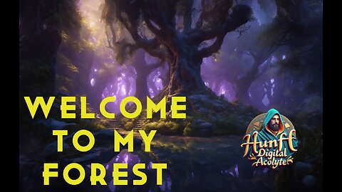 Welcome to my forest - Autumn (part I.)