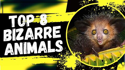 8 Bizarre Creatures You Didn't Know Existed!