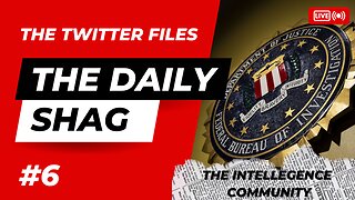 The Daily Shag #6 - Twitter Files: The Intelligence Community