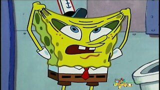 SpongeBob Squarepants DVD's and Season 1&2 Commercial (2005)