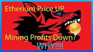 Etherium Up Mining Profits Down why?