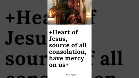 Heart of Jesus, source of all consolation, have mercy on us
