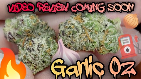 #112 Garlic OZ (Video Review Coming Soon) Trulieve Dispensary Product