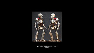 why don't skeletons fight each other?!