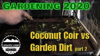 Seed Starting: Coconut Coir vs Garden Dirt