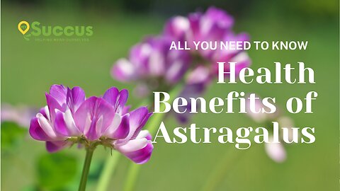 The Health Benefits of Astragalus