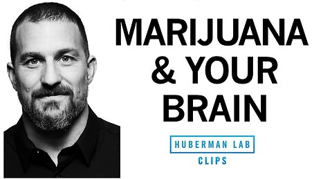 How Marijuana Affects the Brain & Body-(Cannabis,CBD,THC)