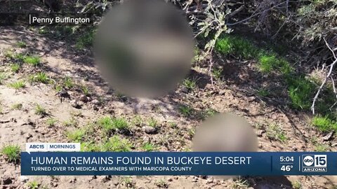 Human remains found in desert in Buckeye