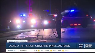 1 killed, another critically injured in Pinellas Park hit-and-run
