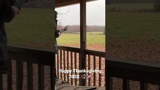 Pistol Grip Thanksgiving