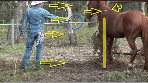 Part 1 of 2 - Working With Unhandled Stallion - The Good, The Bad & The Ugly