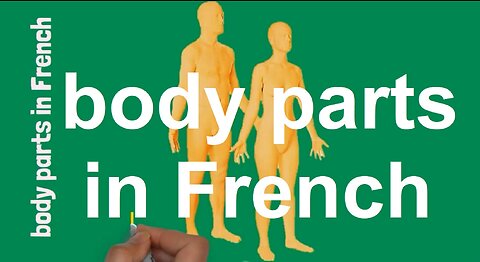 body parts in French | learn French