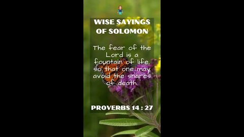 Proverbs 14:27 | NRSV Bible | Wise Sayings of Solomon