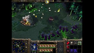 WC3 Classic: Forsaken Sorceress