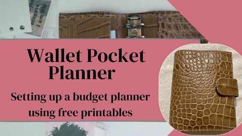 Set up a wallet pocket planner with me