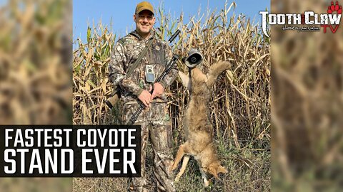 Fastest Coyote Stand Ever - Coyote Hunting