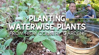 Planting Waterwise Plants 💦 From High Country Gardens 🚿