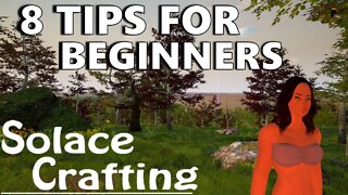 Solace Crafting 8 Tips For Beginners - Starters Guides