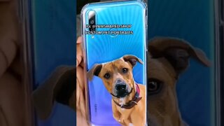 CUSTOM PET PORTRAIT FOR IPHONE CASES, PAWSHAPED