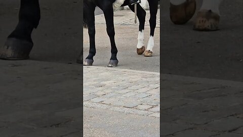 Quick march #horseguardsparade