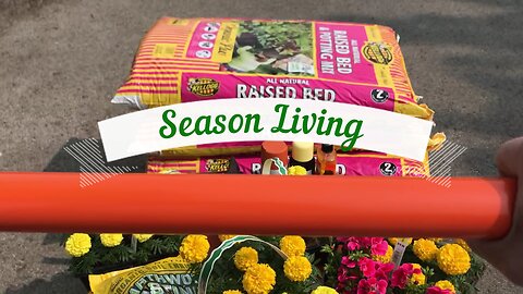Colorful Fragrant Deck Gardening Part 1