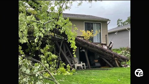 Wind brings down trees, tears shingles from roofs in metro Detroit