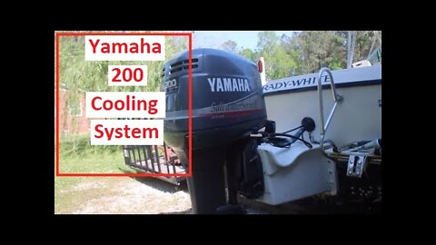 Yamaha 200 OX66 Cooling System Maintenance