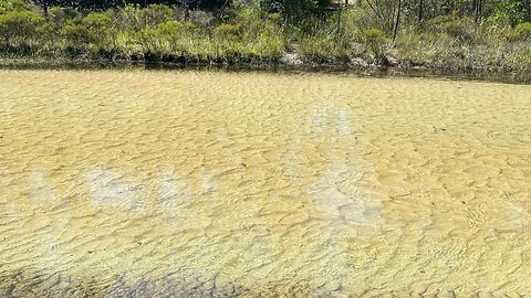 Cimarron Trail (Florida Trail Section)