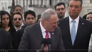 Chuck Schumer calls for amnesty for all 11 million or more illegal immigrants in the US