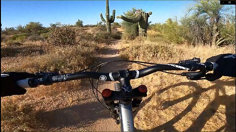 Wildcat Hill MTB - Part 2